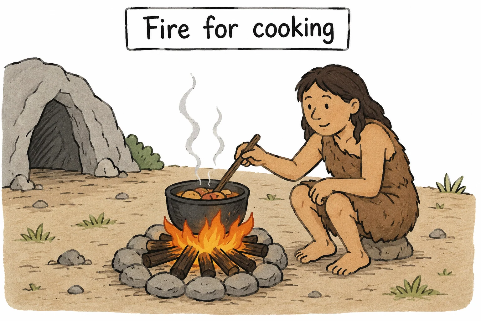 Historical human use of fire